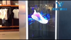 Indoor Holographic Transparent LED Display