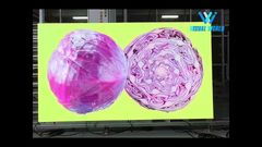 Affichage LED P0.9 à petit pas de pixel COB en aluminium moulé sous pression pour démonstration