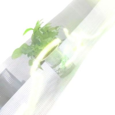 P8 Adhesive Transparent LED Display Ultra Thin 80% Transparency For Shopping Center