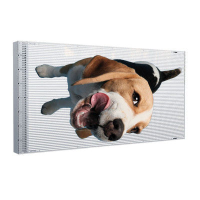 P8 Adhesive Transparent LED Display 80% Transparency 3000nits For Store Window