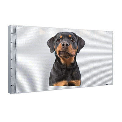 P4 Клейковый прозрачный светодиодный дисплей SMD1921 240x1500mm Front Service