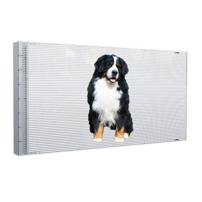 P4 Adhesive Transparent LED Display SMD1921 Front Service 3.5KG/SQM