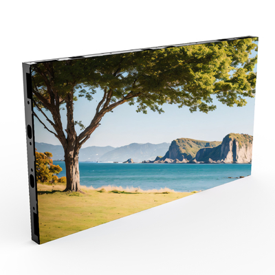 P1.25 Flip-COB Small Pixel Pitch LED Display With Die-casting Aluminum Cabinet