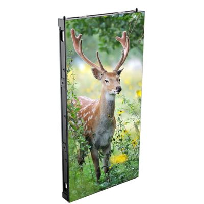 P3.91 Outdoor Fixed LED Display Zirca Series 500x1000mm IP65 For Park Entrance