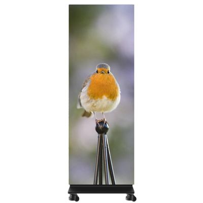 P0.9 LED Poster Display Wireless Control Foldable Floor Standing Ultra Thin 29.5mm