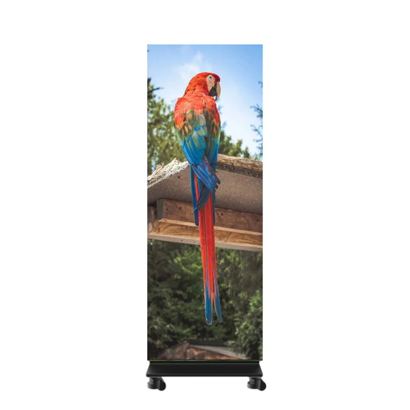 P0.7 LED Poster Display 36.5kg Cabinet 1x5 Front: IP54; Rear: IP30 For Showing