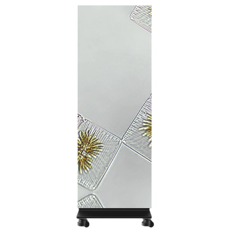 P0.7 LED Poster Display Multi Posters Splicing 1×5 For Events and performances